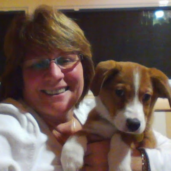 Meet your Posher, Liz - Picture 1 of 1